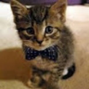 Meet your Posher, Carla